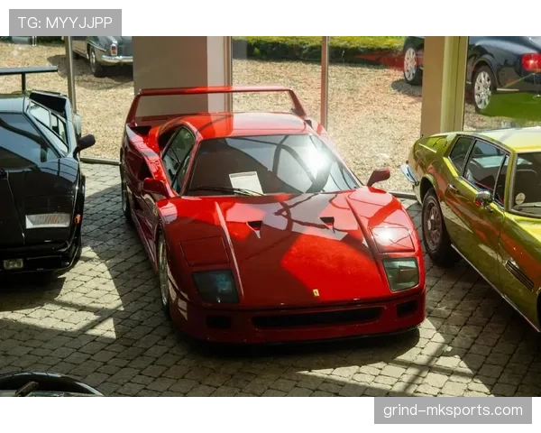 恩佐·费尔南德斯训练完顺手给老婆转了辆法拉利